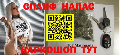 молекула духа Будённовск