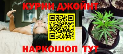 молекула духа Будённовск